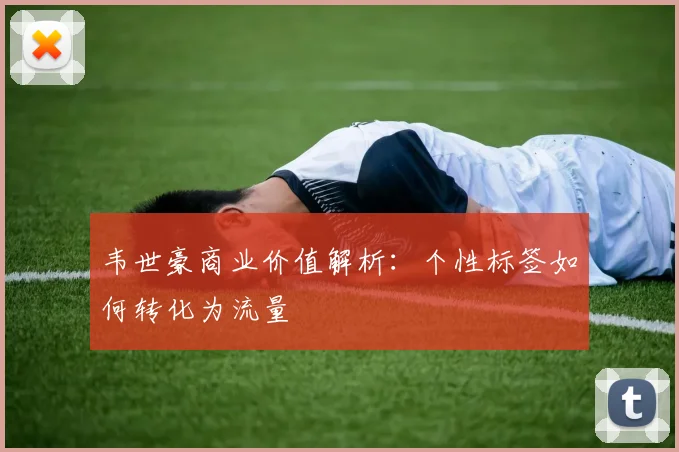 韦世豪商业价值解析：个性标签如何转化为流量