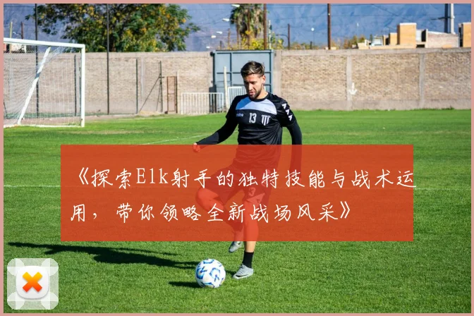 《探索Elk射手的独特技能与战术运用，带你领略全新战场风采》